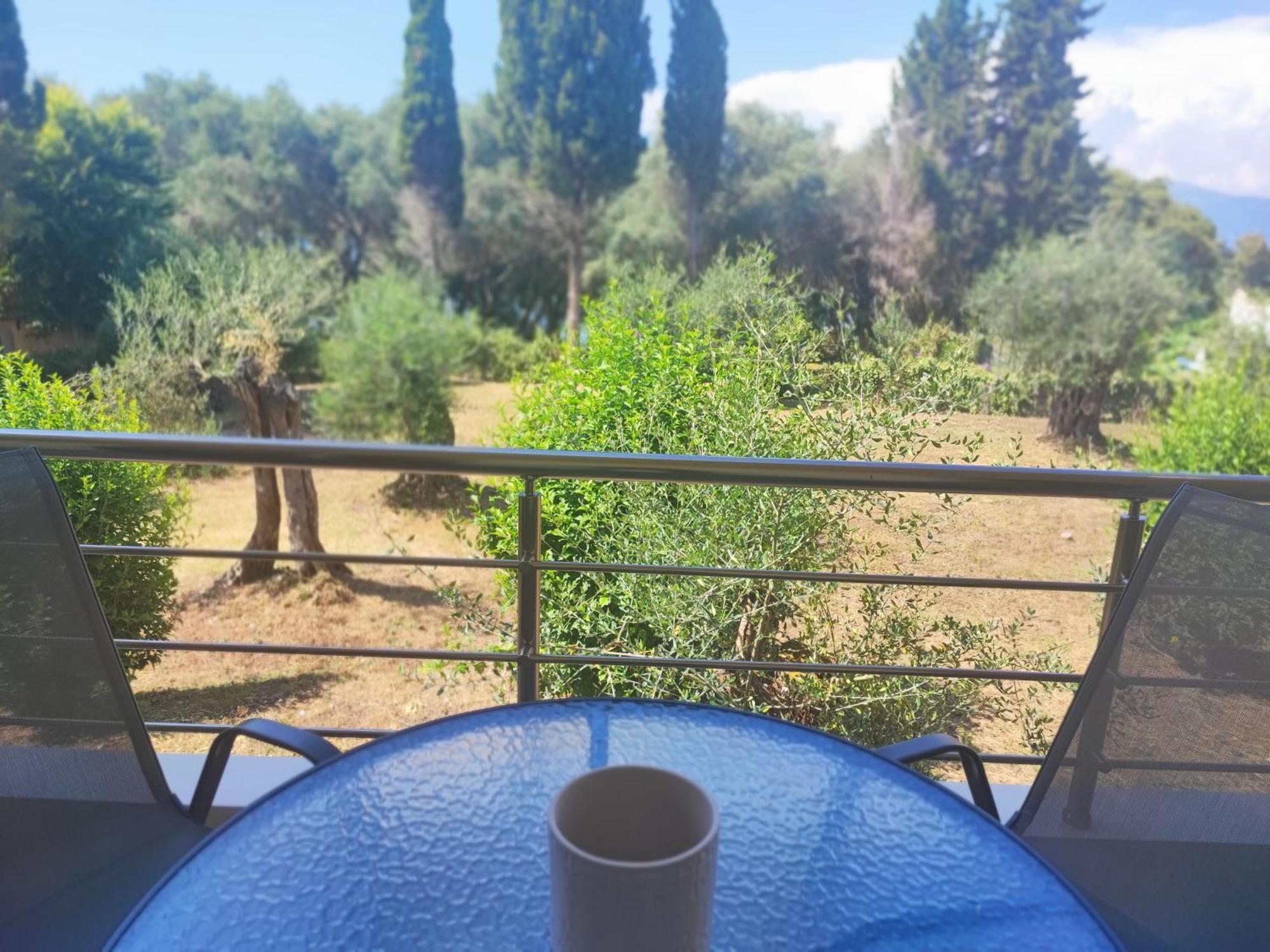 Coritos Holiday Apartments Kontokali Zewnętrze zdjęcie